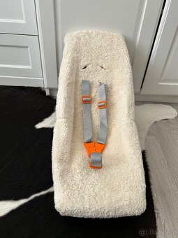 Miminkovník Weber pro vozík za kolo ( např. Croozer) - 2