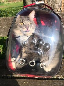 Batoh pro kočku/psa - 2