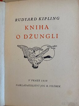 Kniha o džungli - 2