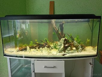 Akvárium 450l se skříňkou - 2