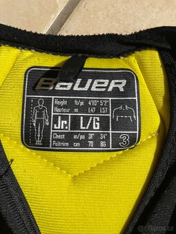 Hokejová výstroj - 2