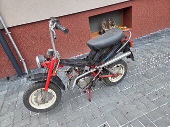 MOKIK Babetta - STELLA riga /1/ - 2