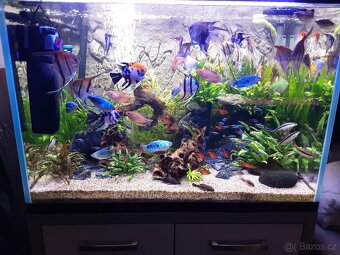 Akvárium sklo optiwhite - 2