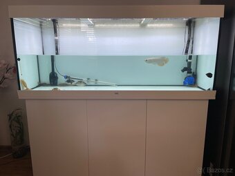 Juwel 450l - 2