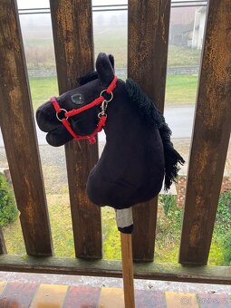 Hobby horse - 2