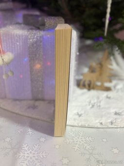 Pravda o Covidu-19 - 2