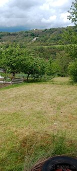 Zahrada v Ivančicích na Rene - 2