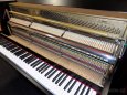 Prodám celopancéřové piano, pianino, klavír Petrof - Rosler - 2