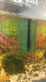 Kompletní akvarium - 2