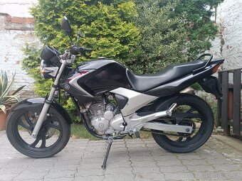 Yamaha YBR 250 - 2
