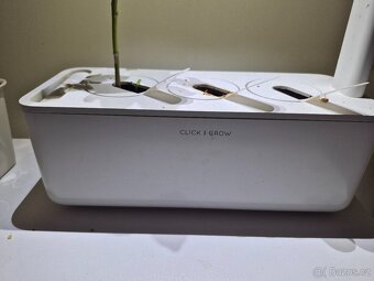 Hydroponický květináč Click and grow - 2