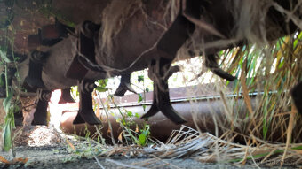 Zěmědělska technika vice stroju - 2