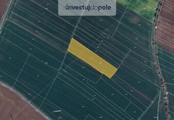 Prodej pole v k.ú. Kostelec nad Labem - 2