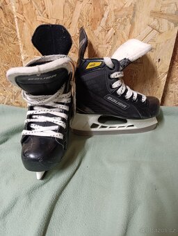 Brusle Bauer EU 31 - 2