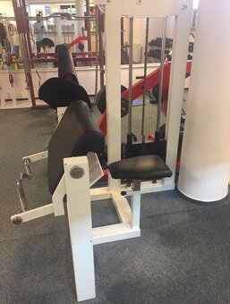 biceps v sedě - 2