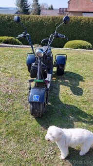 Prodám elektrickou tříkolku ECO WHEEL dvoumistnou - 2