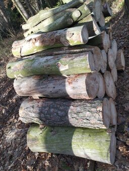 Palivové dřevo - 2