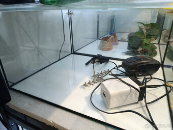Akvarium - 2