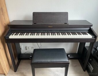 Roland RP701 - 2