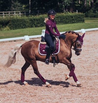 Sada Equestrian Stockholm Purple White DL - 2