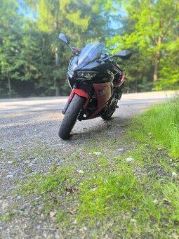 Kawasaki ninja 650 40th Anniversary TOP STAV - 2