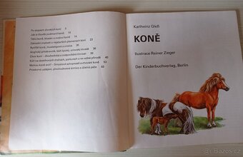 Koně - KarlHeinz Gless - 2