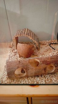 Vybaveni pro křečka - 2