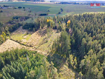 Prodej lesa, 2678 m², Chotěmice - 2