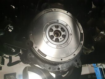 Octavia rs - 2