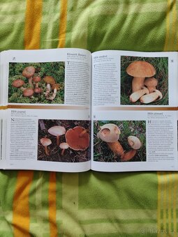 HOUBY česká encyklopedie - 2