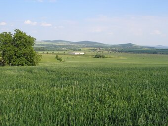 Pozemek kú. Maškovice u Litoměřic - 2