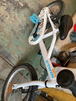 B twin Inuit 100 - 2