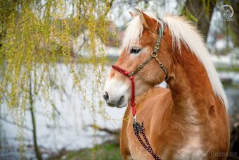 Provazový nánosník na uzdečku - 2
