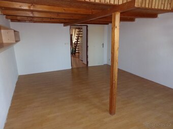 Pronájem bytu 1+1, Podnásepní, 75m2 - 2