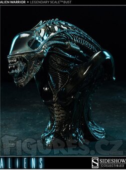 Sideshow aliens Warrior legendary bust - 2