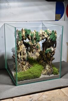 Akvárium s Dragon Stone - 2