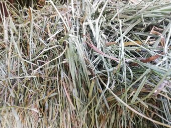 Luční seno - pěkná otava - 2