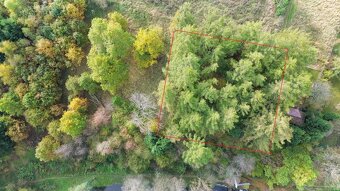 Prodej lesa, 986 m², Strmilov - 2