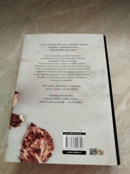 Pozorovatelka-Anna Brightová - 2