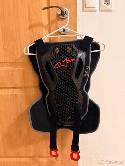 Alpinestars BIONIC - 2