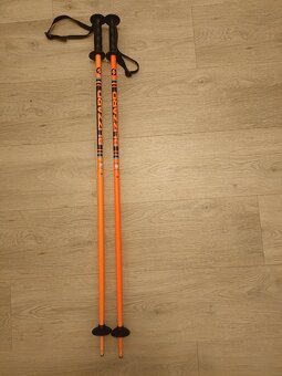 Hůlky na lyže - 2
