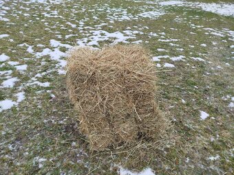 Malé hranaté balíky sena - 2