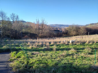 Prodej stavebního pozemku 2014 m² Horní Poříčí - 2