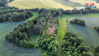Prodej lesa, 17153 m², Božejov - 2