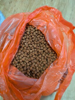 Hill´s Prescription Diet j/d Canine Original - 2