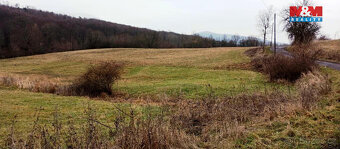 Prodej louky, 8010 m², Třebušín - 2