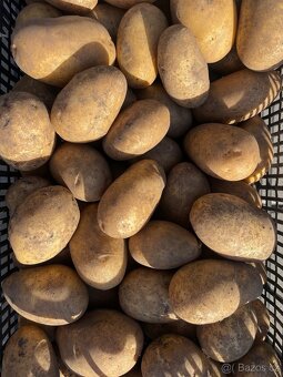 Brambory z farmy - 2