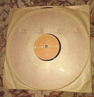 Šelakové gramofonové desky - 25 cm - 2