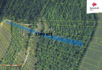 Prodej sadu, vinice 3394 m2 Brumovice - 2