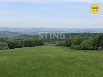 Prodej lesa 10502m2, 132353 - 2